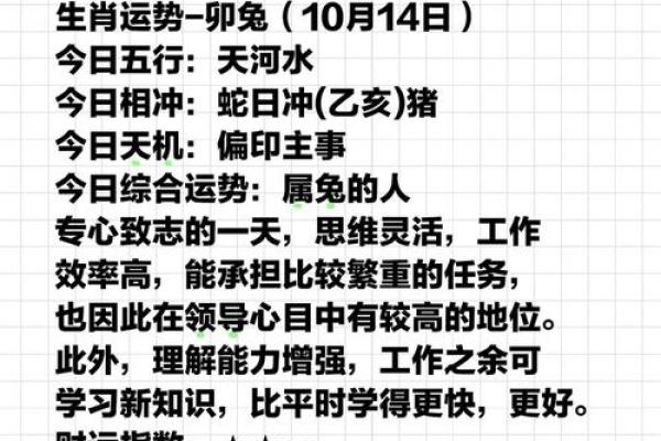 属兔运势全解析 属兔运势全解析