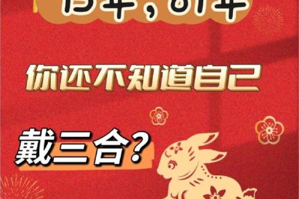 本命年兔男如何运用风水趋吉避凶 本命年兔男如何运用风水趋吉避凶