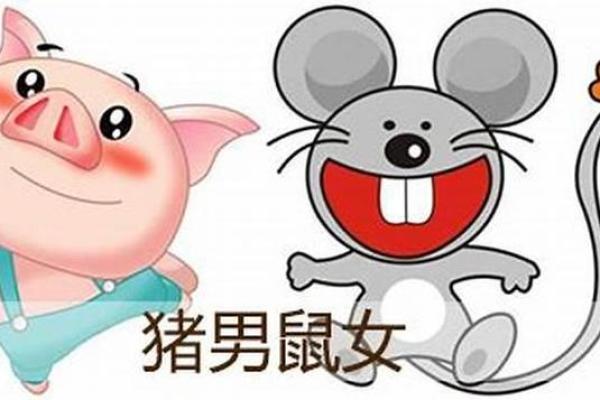 男鼠女鼠配对是否合适的八大因素分析 男鼠女鼠配对是否合适的八大因素分析