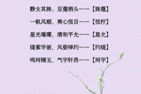 宝宝起名字测试:帮你挑选寓意深远的名字 宝宝起名字测试:帮你挑选寓意深远的名字