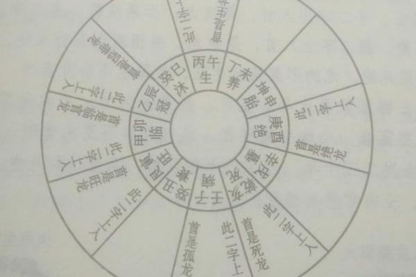 从中华国际风水协会看风水学的全球化影响 从中华国际风水协会看风水学的全球化影响