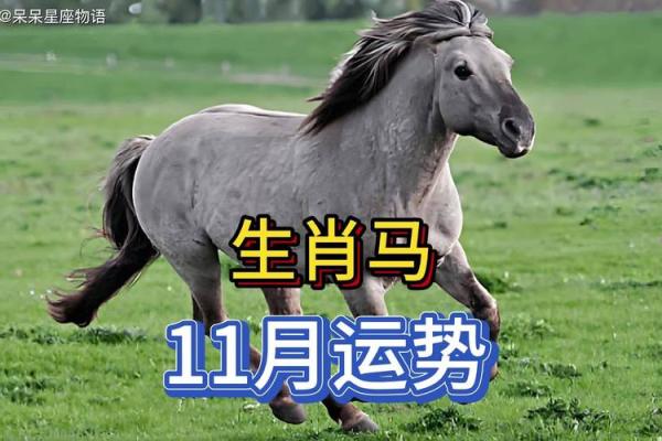 马人每月运势分析,运程波动揭秘 马人每月运势分析,运程波动揭秘
