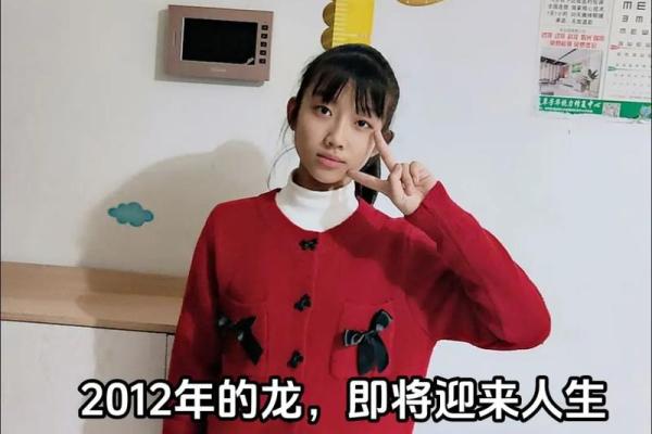 龙女本命年财务上的决策与调整 龙女本命年财务上的决策与调整