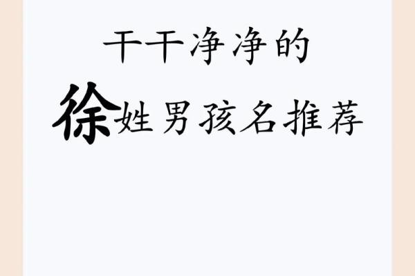 徐姓宝宝起名指南:选择最有意义的名字 徐姓宝宝起名指南:选择最有意义的名字