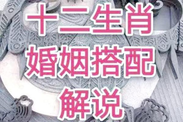 猴马配对的爱情与婚姻走向 猴马配对的爱情与婚姻走向