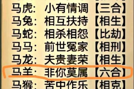 马狗生肖配对是否能长久？了解背后的相合与相冲