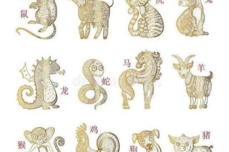 生肖与运程：各大生肖的财运、事业与感情趋势