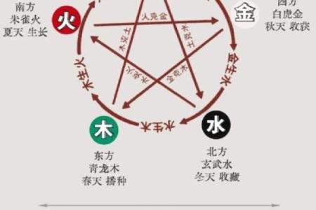 出生的五行属性分析，命运与运势全揭秘