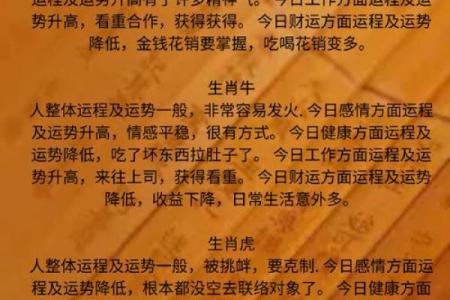 本命年龙女如何稳步提升个人收入