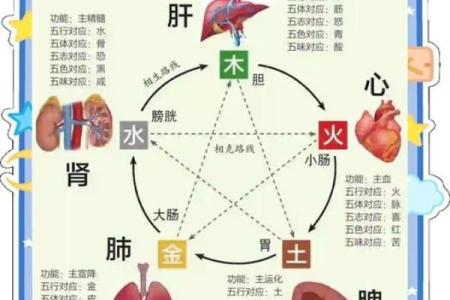 从五行双金看个人运势，提升生活质量的秘诀
