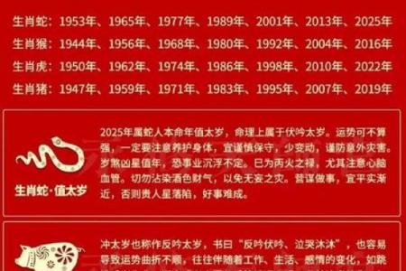 半鸳鸯命的运势解读与命理特点