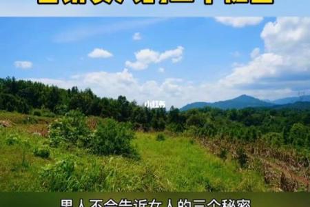 揭秘男命双桃花，命运中隐藏的爱情秘密
