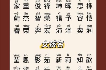 猴年宝宝取名技巧与推荐名字大全