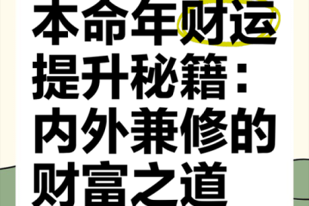 本命年属鼠的财运提升小窍门