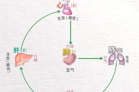 从脾气看命运的走向