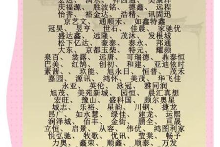 北京最大起名公司提供个性化命名服务