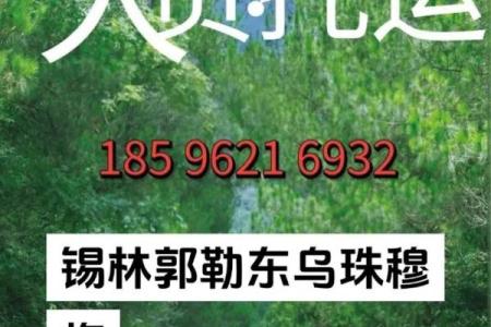 避免运输的常公司见起错误名