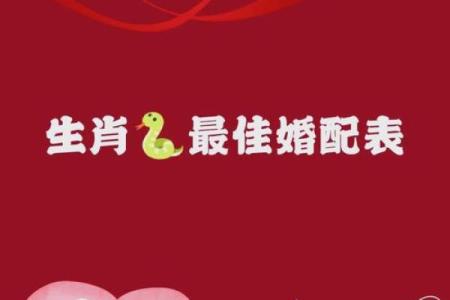属蛇和属牛的爱情契合度探讨