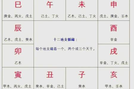 陈浩宇五行解析：如何通过五行了解命运奥秘？