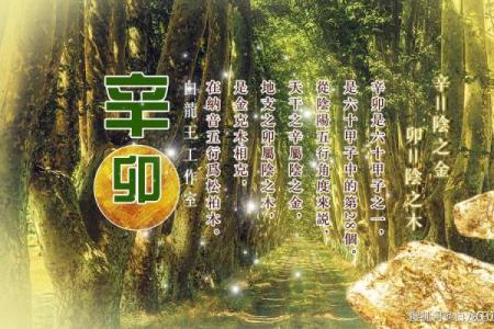 从五行角度看独山玉：对运势的影响与选择技巧