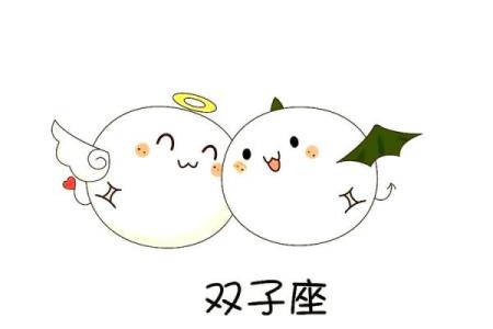 出生的命运：探索双子座的独特个性