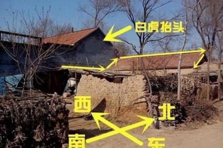 白虎方风水：如何利用方位提升家居运势