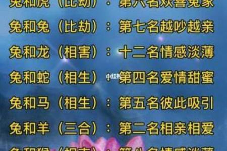 属兔女和属鸡男能否长久相守