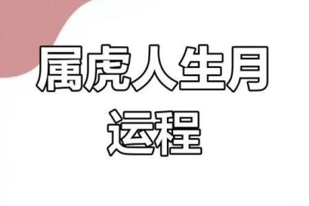 出生的属虎人运势揭秘