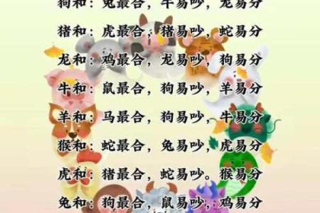 男鼠女鼠配对是否合适的八大因素分析