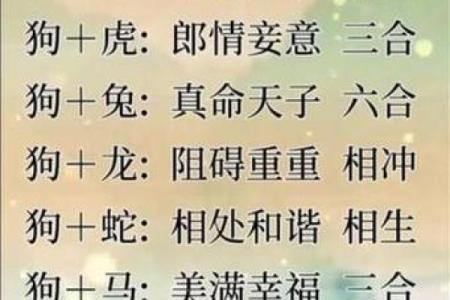 属猴女和属马男的相处之道