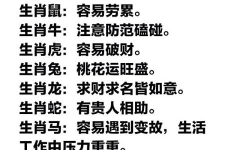十年运势解析：生肖如何迎接未来十年挑战