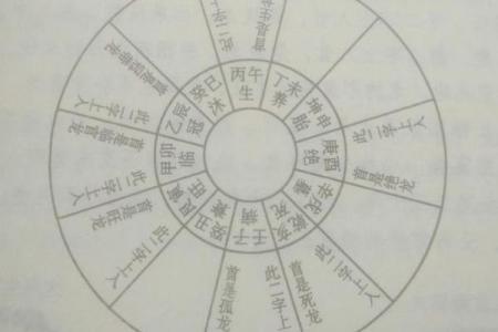 从中华国际风水协会看风水学的全球化影响