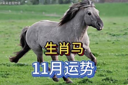 马人每月运势分析，运程波动揭秘