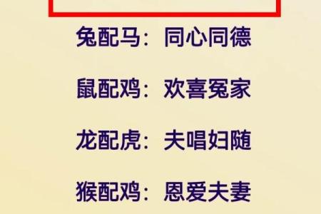 属马女与属虎男的情感契合度分析
