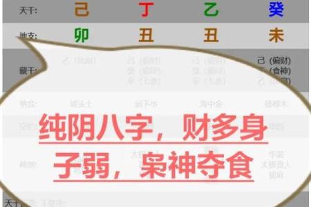 八字纯阴是什么意思？如何通过八字分析判断纯阴命格