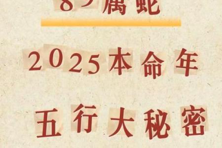 本命年蛇男如何化解感情中的难题