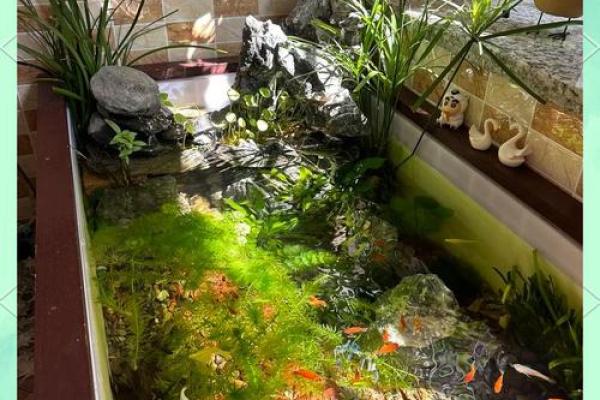 打造西双版纳家居风水良好气场的鱼缸定制方案