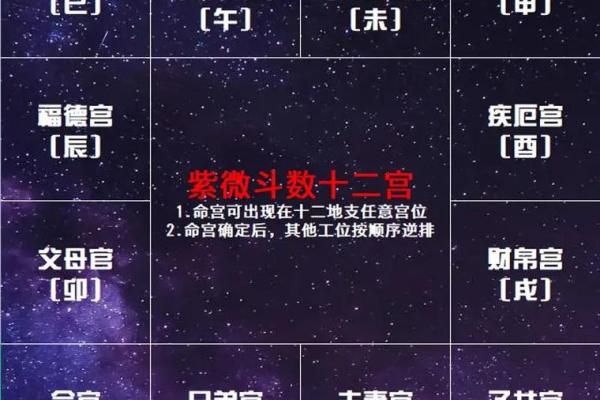 紫薇命理:不同生肖在今年的运程变化 紫薇命理:不同生肖在今年的运程变化
