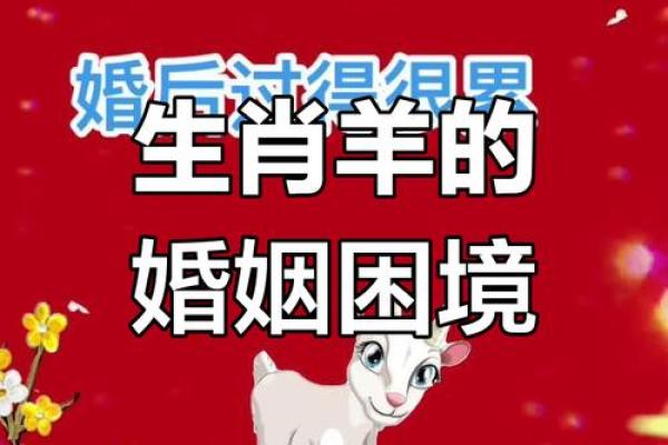 本命年羊女该如何避免财务危机 本命年羊女该如何避免财务危机