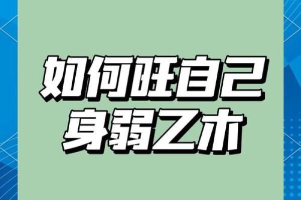充五行属,如何提升你的运势和生活质量? 充五行属,如何提升你的运势和生活质量?