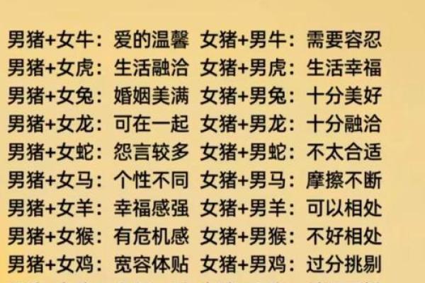 属狗女性与属龙男性的爱情匹配度分析
