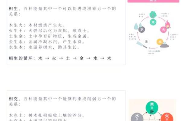 爱婷五行:如何通过五行调理提升身体健康 爱婷五行:如何通过五行调理提升身体健康