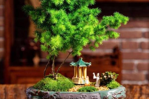 办公楼大厅风水植物推荐 改善气运与环境氛围