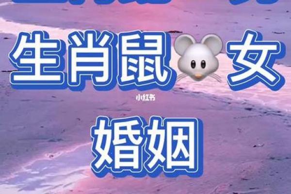 老鼠和蛇属相是否合适的深入分析 老鼠和蛇属相是否合适的深入分析