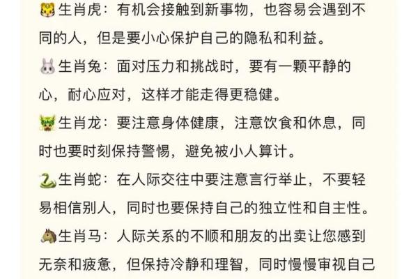 从生肖看运程,各属相的运势全面解析 从生肖看运程,各属相的运势全面解析