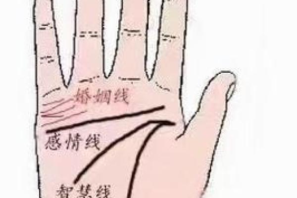手相和八字,哪个更准?揭秘背后的真相 手相和八字,哪个更准?揭秘背后的真相