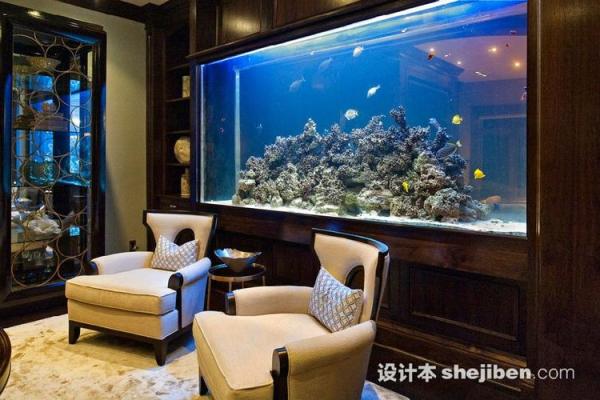 风水专家推荐：定做鱼缸的布局与摆放技巧