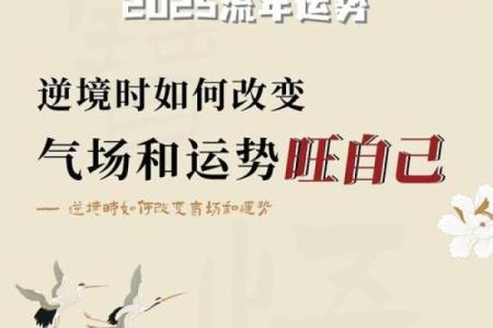 从八字看事业前景，轻松掌握职场成功密码
