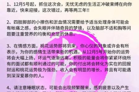 属虎人在本命年如何提升社交运势