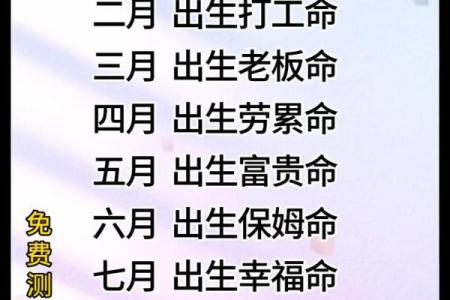 什么是纯合命以及它对命运的影响